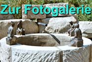 Fotogalerie